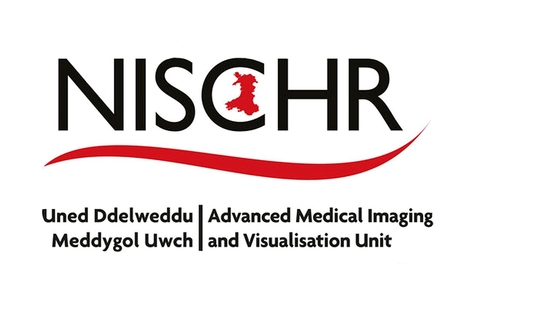 Advanced Medical Imaging and Visualization Unit
